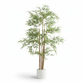Artificial High-Quality Natural Look Bamboo Tree - 150cm (5ft)